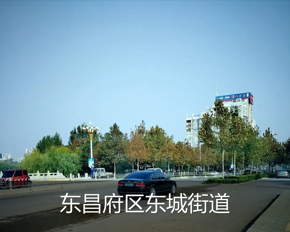 东昌府区东城街道