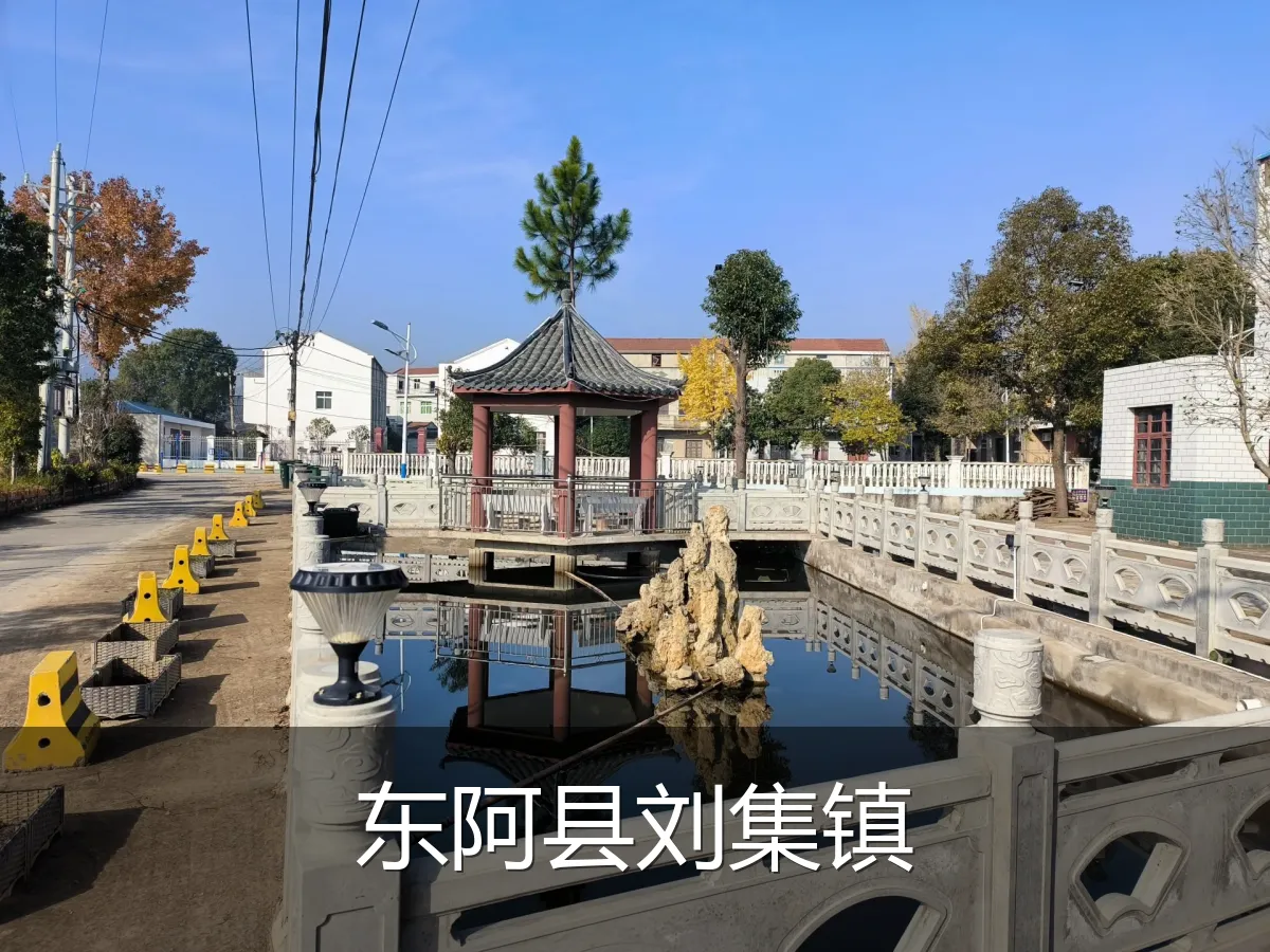东阿县刘集镇