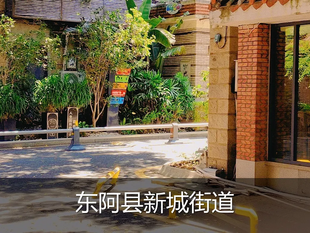 东阿县新城街道
