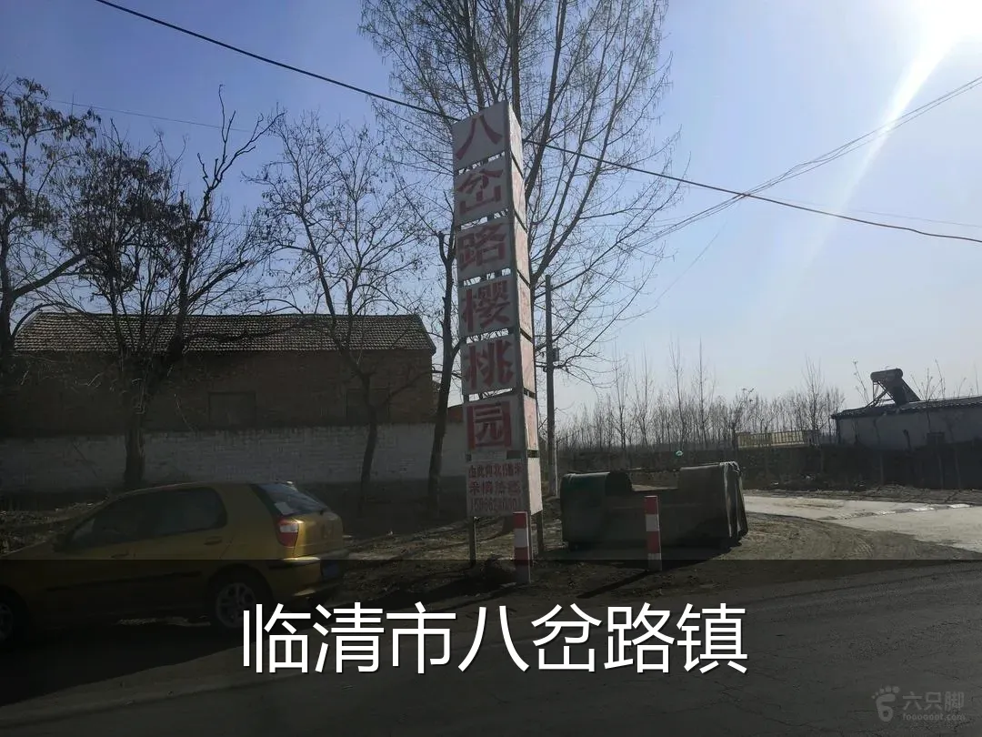 临清市八岔路镇
