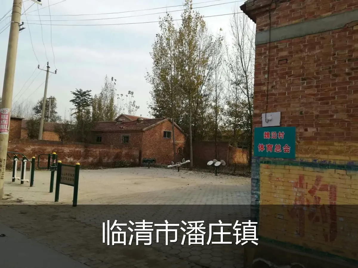 临清市潘庄镇