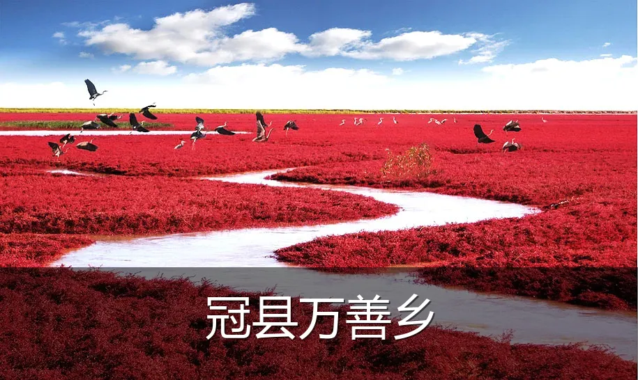 冠县万善乡