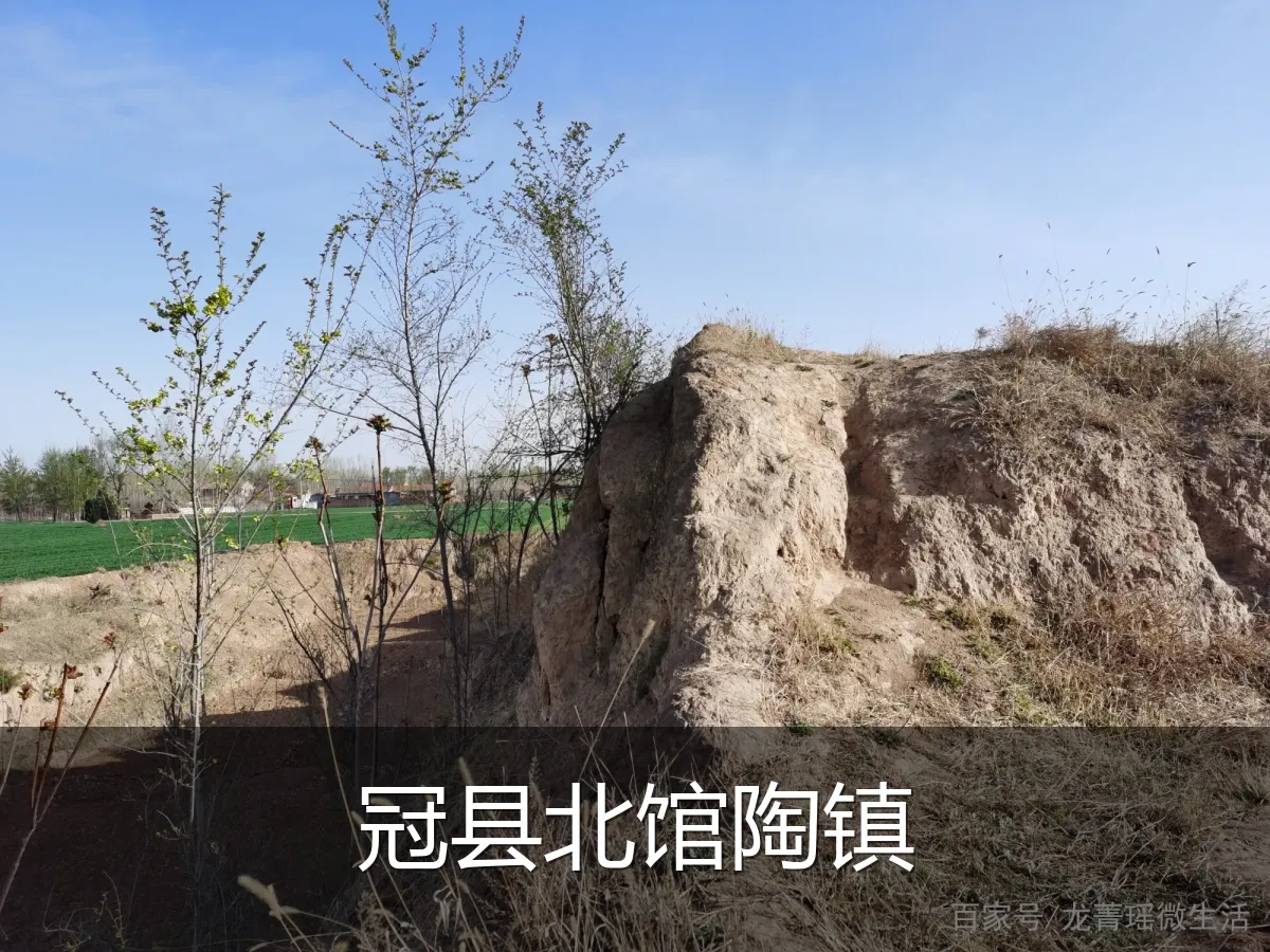 冠县北馆陶镇