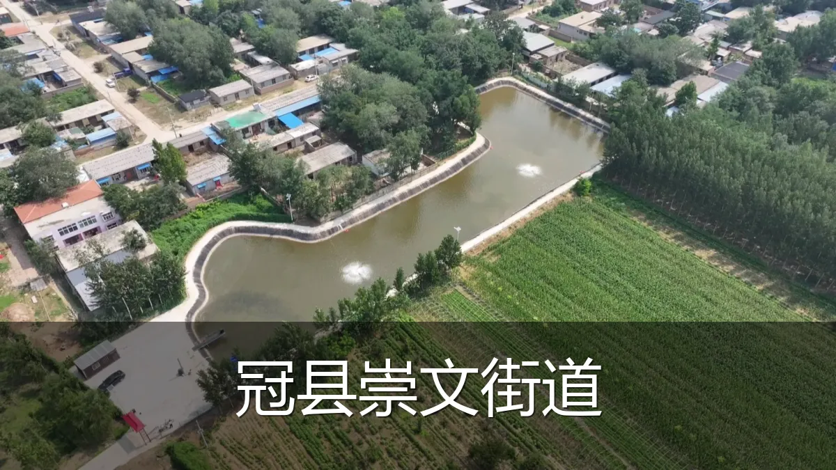 冠县崇文街道