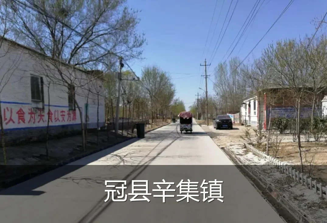 冠县辛集镇
