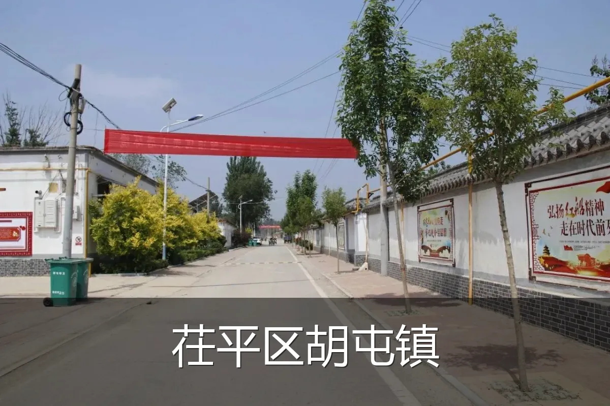 茌平区胡屯镇