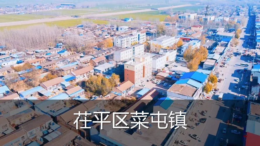茌平区菜屯镇