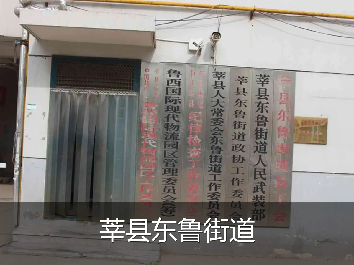 莘县东鲁街道