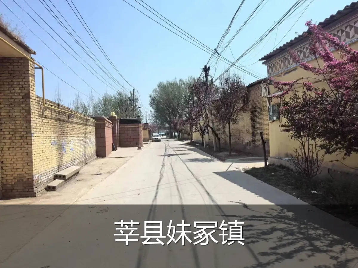 莘县妹冢镇