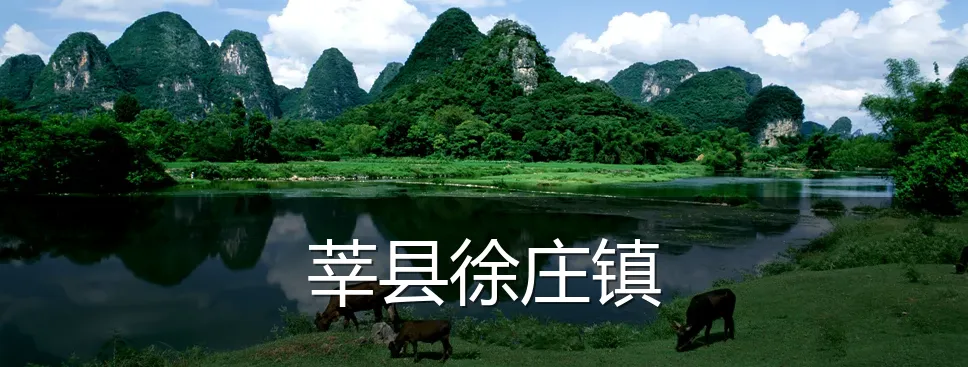 莘县徐庄镇
