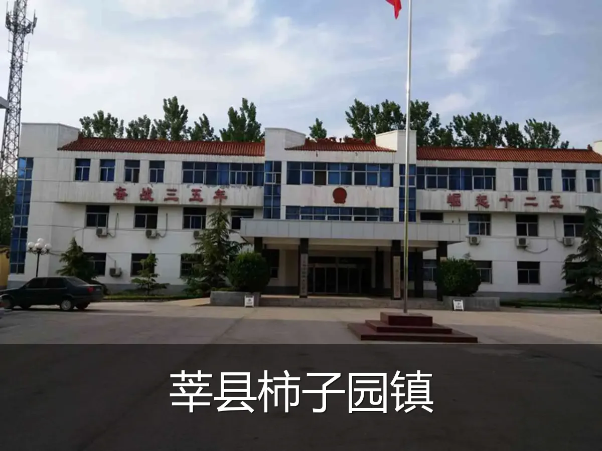 莘县柿子园镇