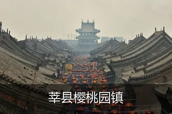 莘县樱桃园镇