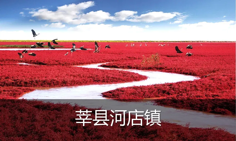 莘县河店镇