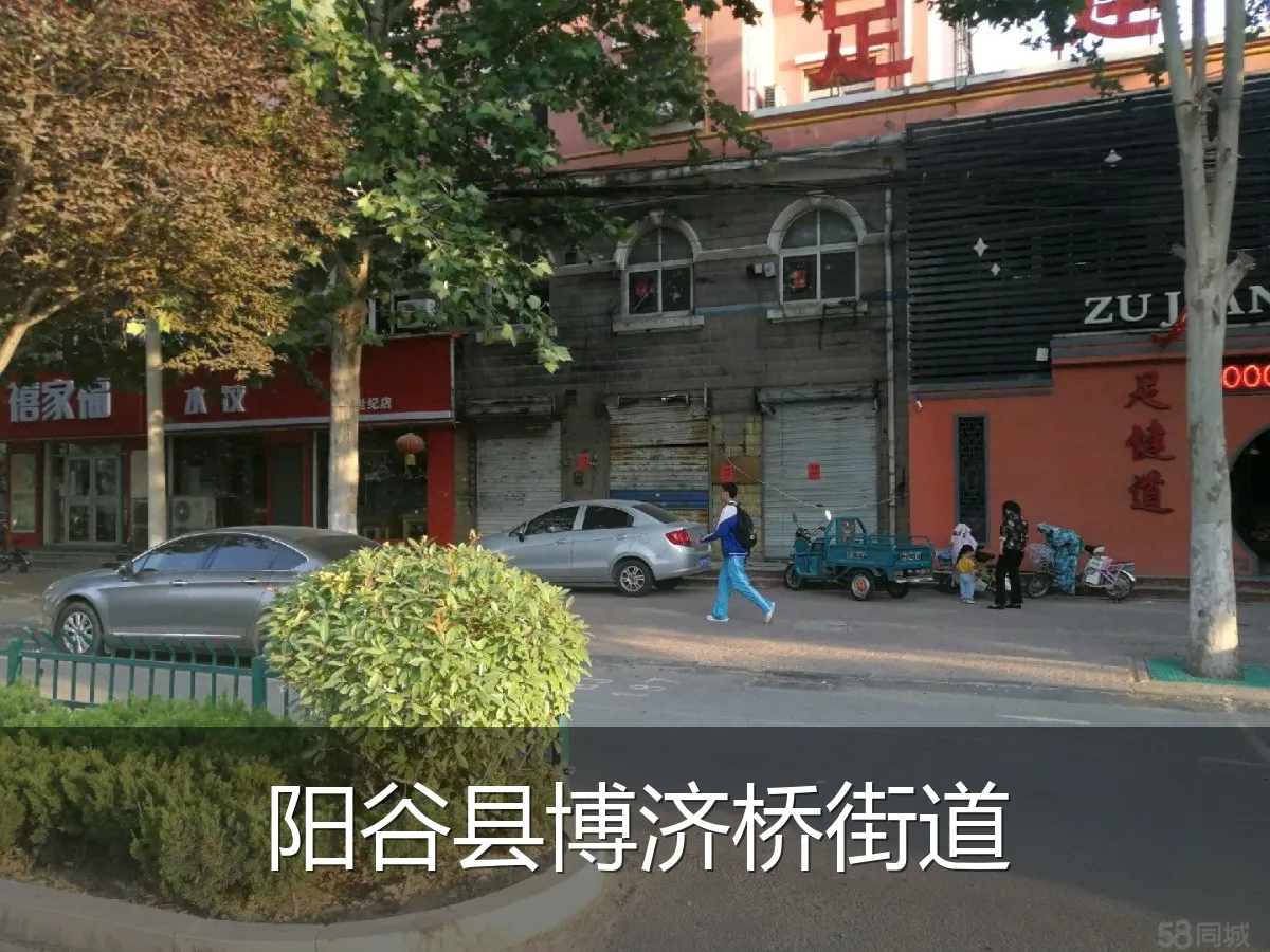 阳谷县博济桥街道