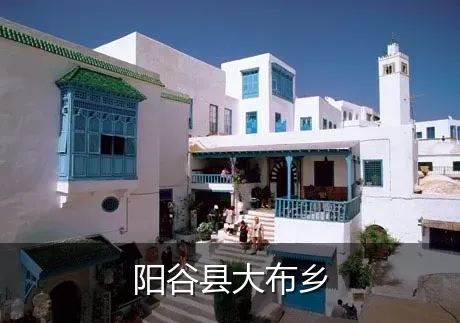阳谷县大布乡