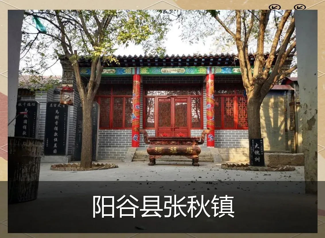 阳谷县张秋镇