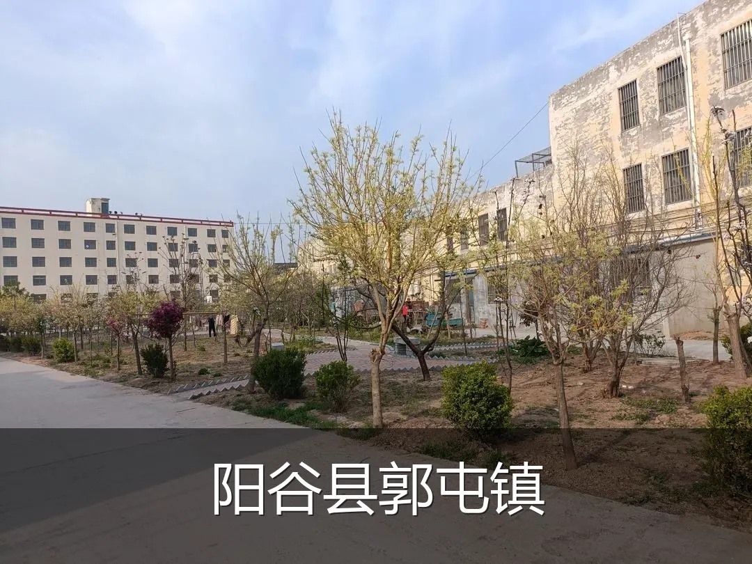 阳谷县郭屯镇