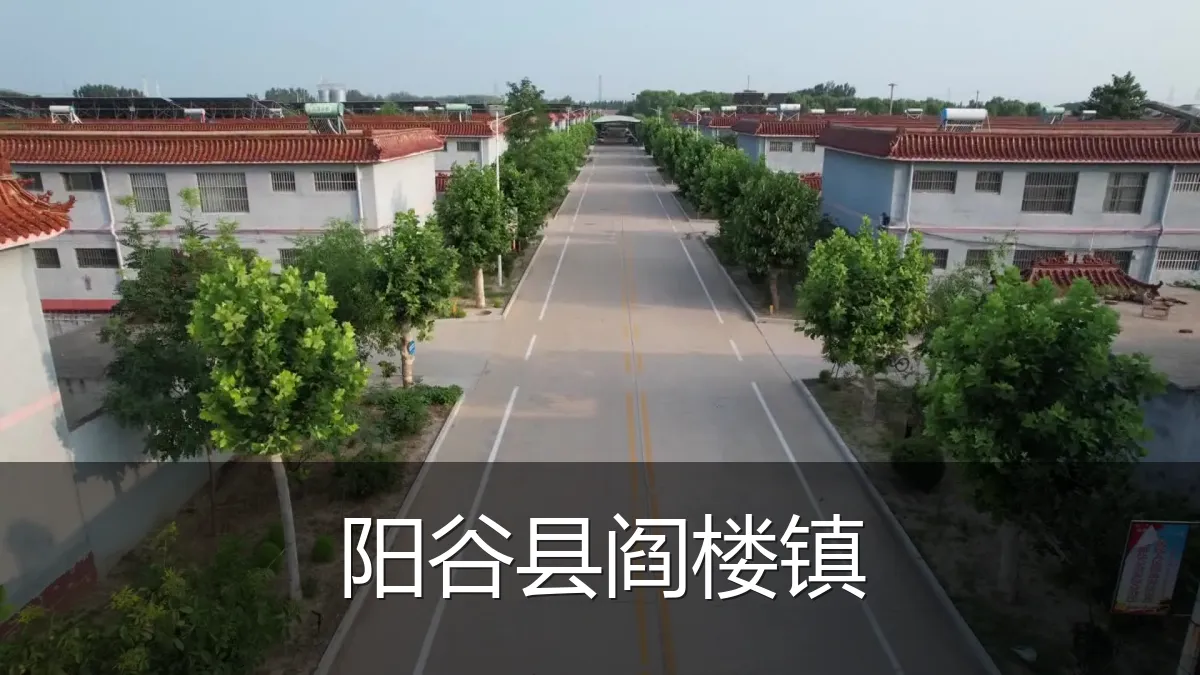 阳谷县阎楼镇