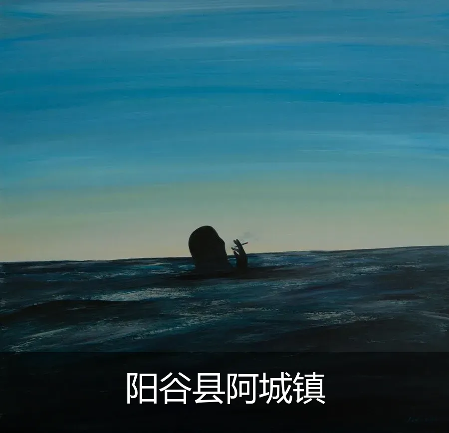 阳谷县阿城镇