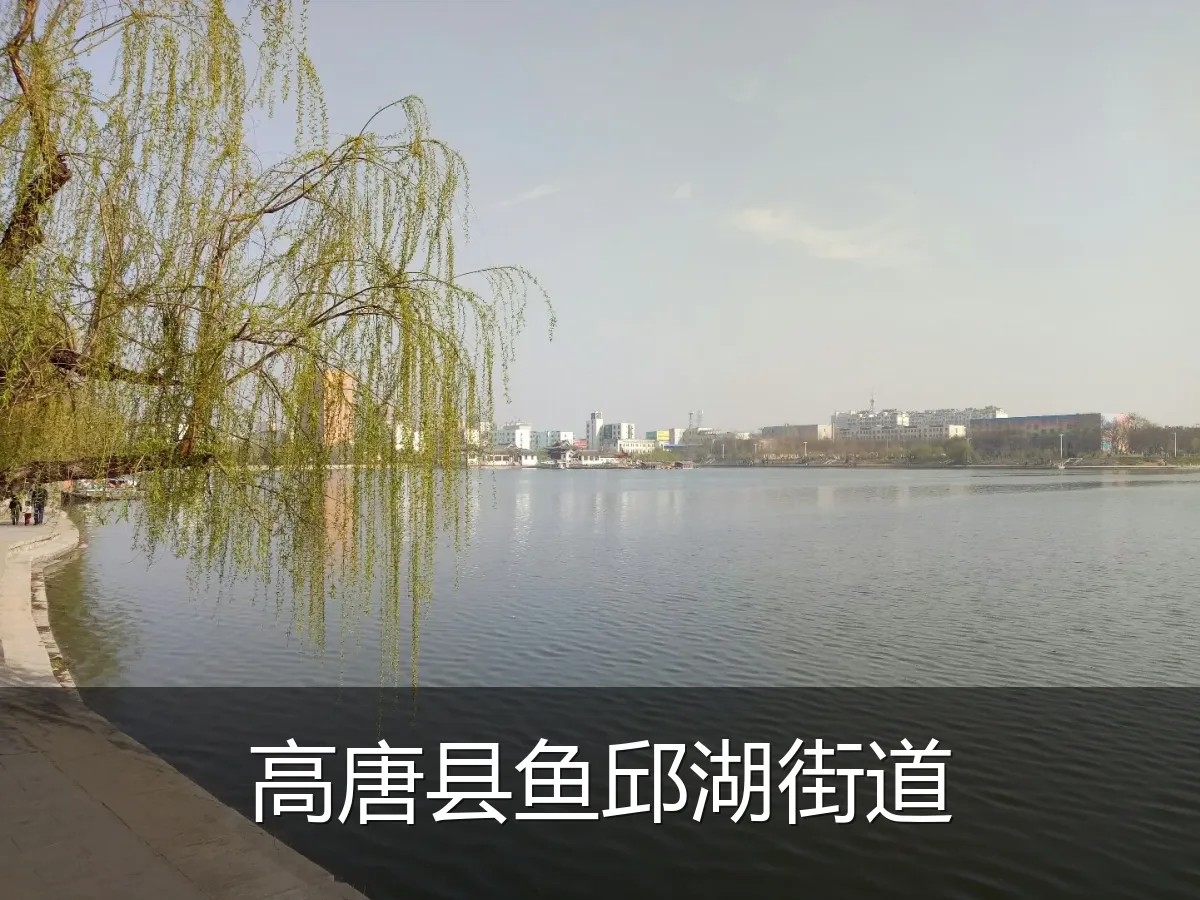 高唐县鱼邱湖街道